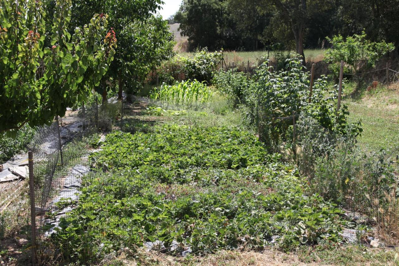 Can Cabanyes Llagostera Ngoại thất bức ảnh